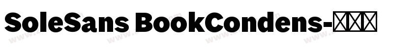 SoleSans BookCondens字体转换